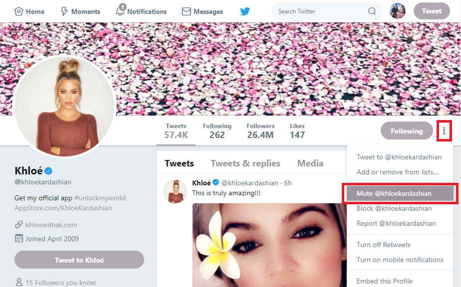 Unfollow Twitter