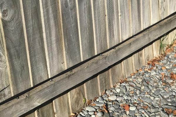 Fence line 3
